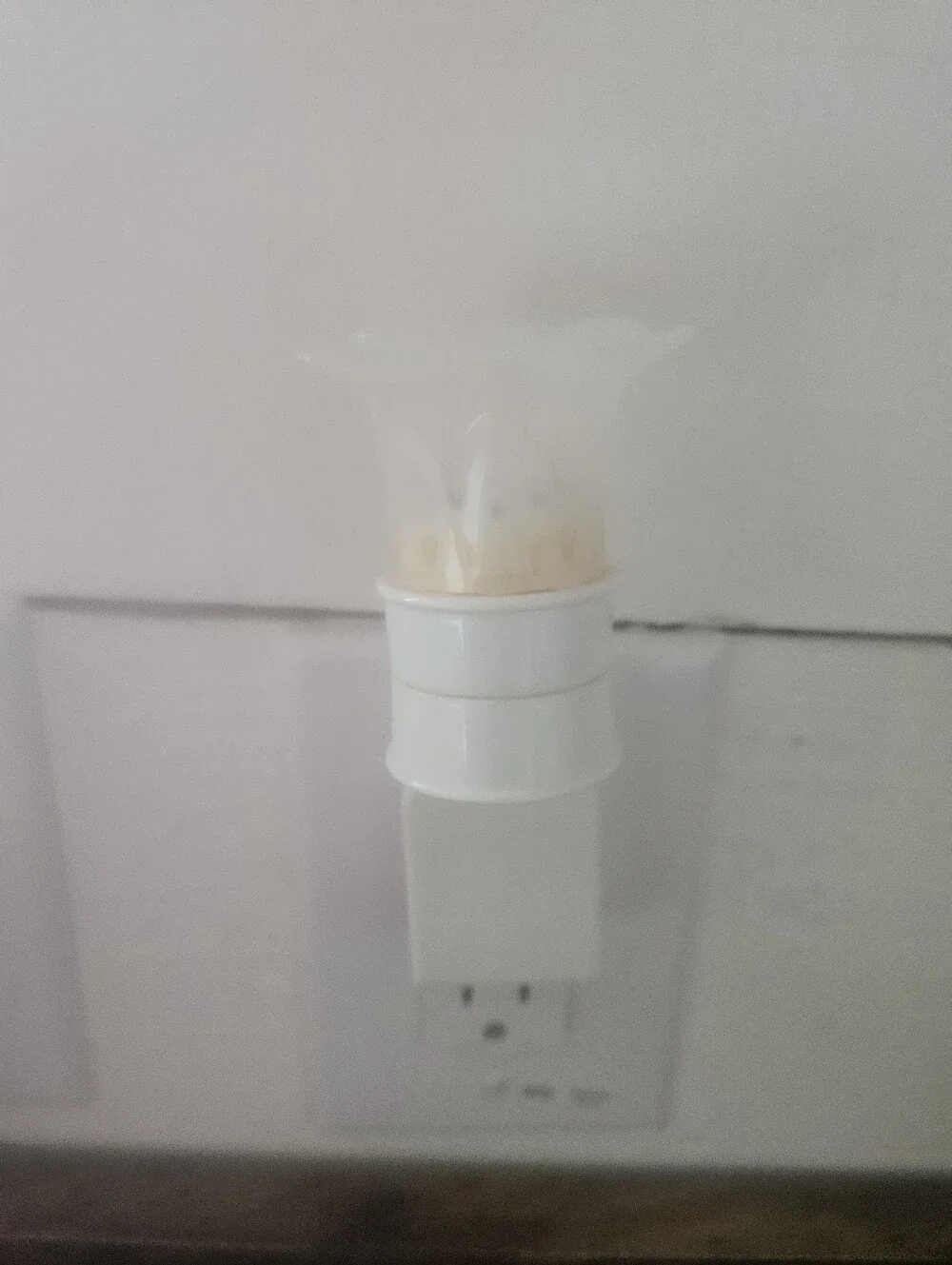 Bath And Body White Plug-In Wallflower Plug In